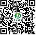 噗嗤肉棒小穴在线视频